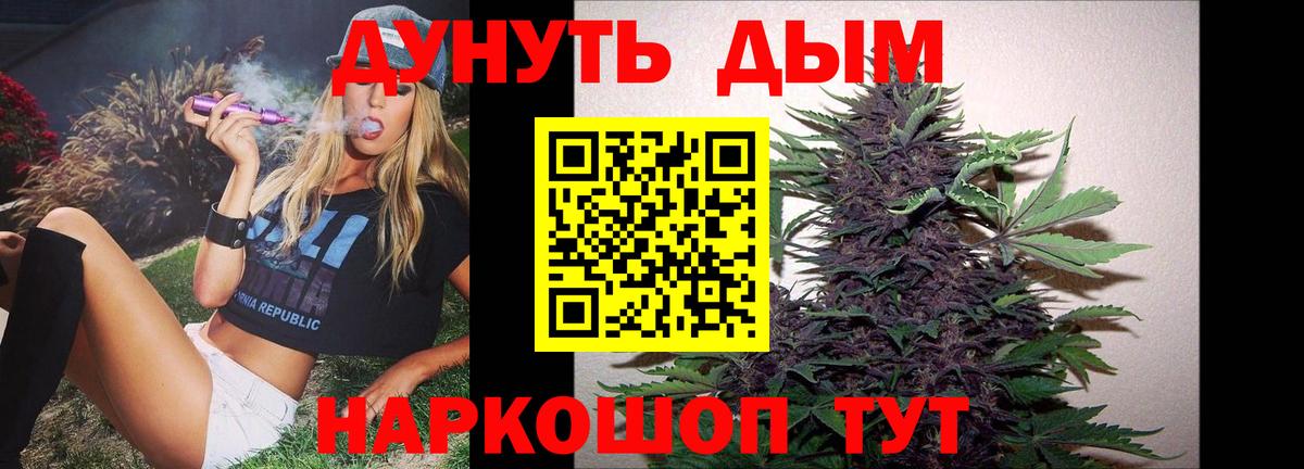 Каннабис планчик Новодвинск